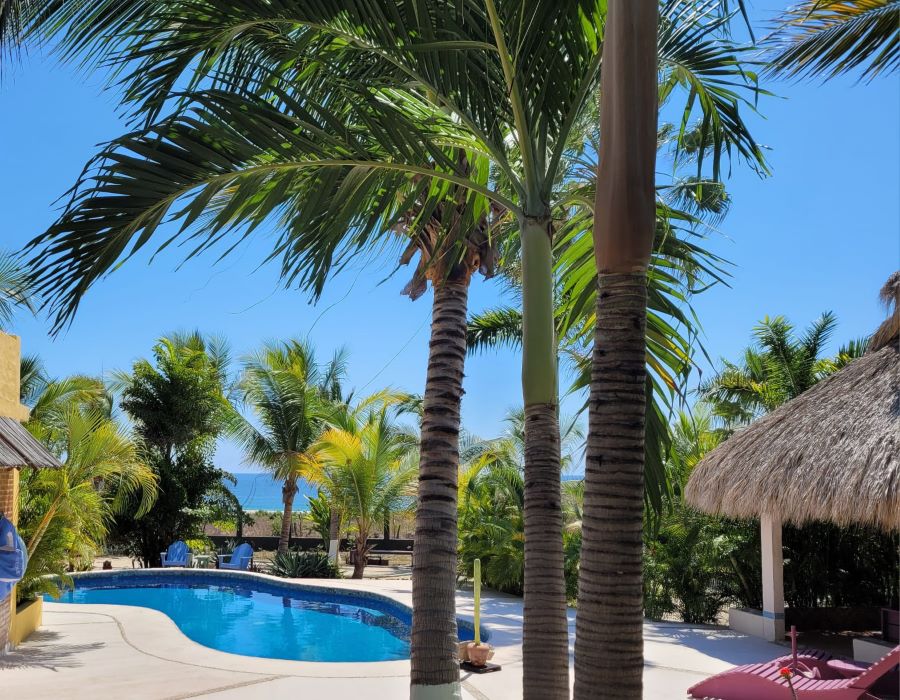 vista palmeras y piscina