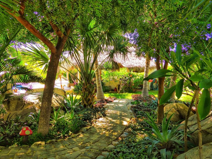vista jardin con camino