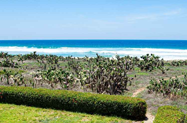 vista al mar