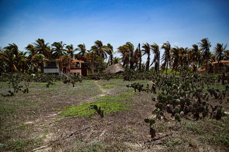 vista camino y casa