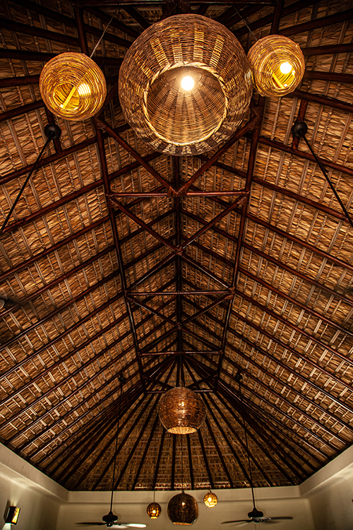 Imagen de techo de palapa con lámparas de plantas nativas y ventiladores de techo