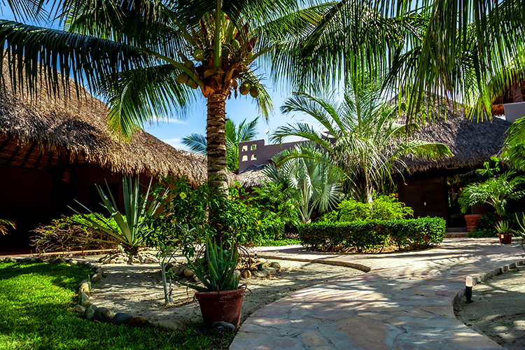 Imagen del jardin con vista a techos de palapa