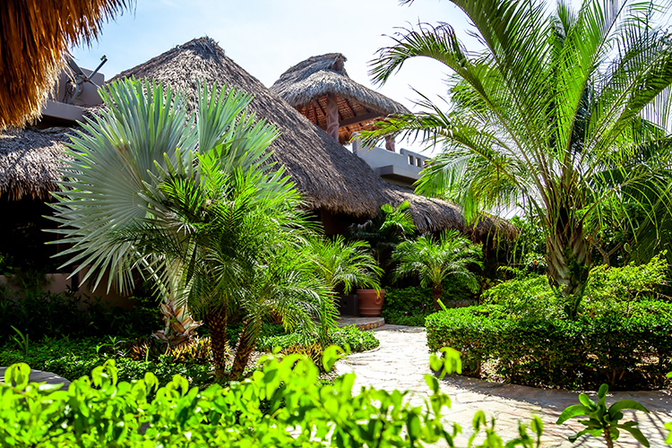 Imagen con vista del jardin